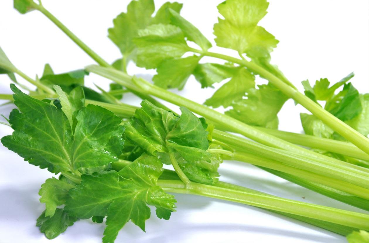 蔬菜是個(gè)寶，這些部位也更好！