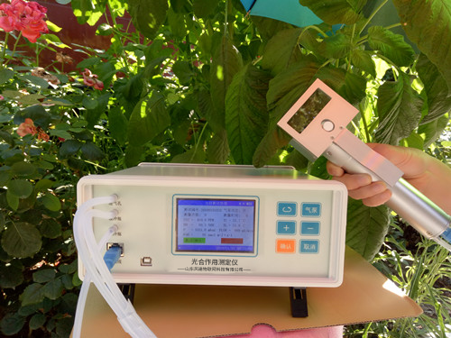 植物氣孔針有何應(yīng)用？