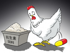 食品抗生素層出不窮，如何檢測(cè)？